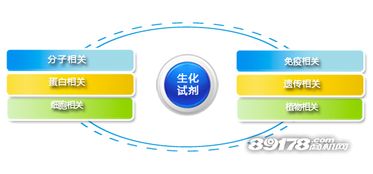 創業良機 加盟和興生物，搶占大健康產業藍海